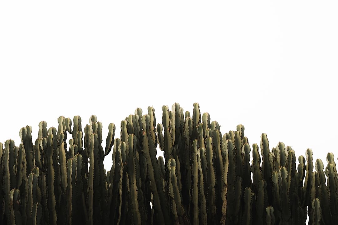 怎么继续获取股票信息？